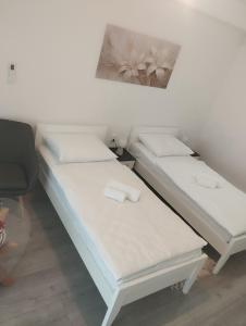 Room Misir in downtown