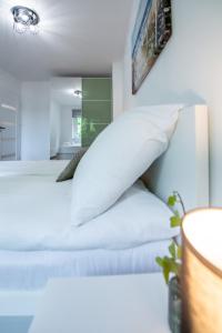 Apartament Lipowa 26