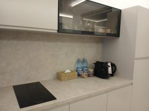 Marina White Titanic