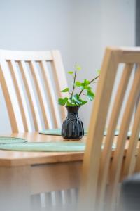 Apartament Górnych Wałów 21