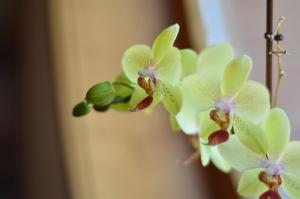 Hotel - Restaurant Gonduzo