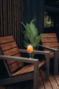 Sidrabgrava - Luxury cabin in woods