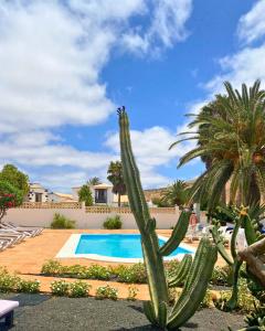 La Maison dAndres, by Comfortable Luxury