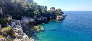Charming studio 50m de la plage