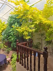 New Sea Joy Guest House