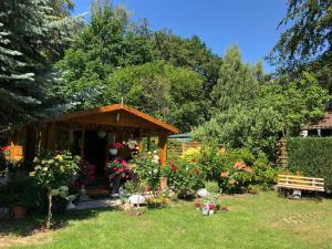 Naturblick am Petersdorfer See
