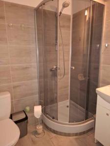 Gwiazda nad Horyzont