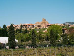 Casa de campo entre viñedos