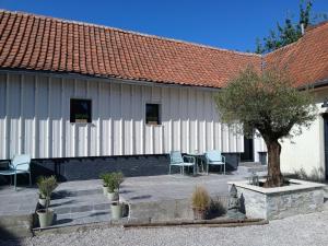 B&B / Chambres d'hotes Les Oliviers : photos des chambres