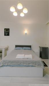 Roneey Lux Apartment