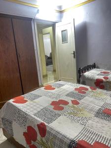 شقه مصيفيه بميامي خالد ابن الوليد الرئيسي تاني نمره من البحر