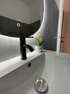 Appartements studio luxueux : photos des chambres