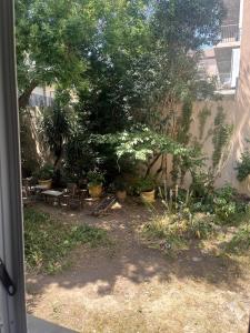 Petit nid douillet centre-ville