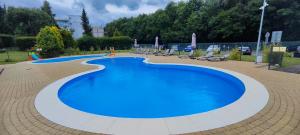 Meduza w obiekcie Dominikana Sianożęty