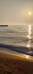 Meduza w obiekcie Dominikana Sianożęty