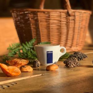 Pensjonat Pod Stokiem