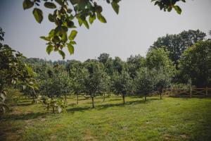 Stara kuća i brvnara