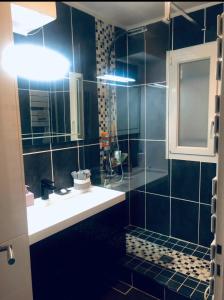 Deauville Sevigné 6p 2ch G Terrace pool tennis