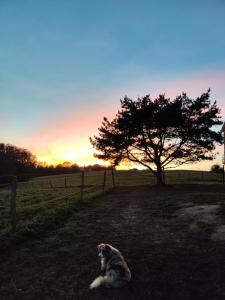 Maisons de vacances Authentic farm stay : photos des chambres