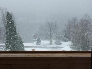 Lake and Castle view apartment