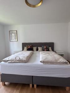 Bergblick & Dorfgefühl in Hörbranz