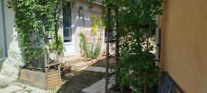 Maisons de vacances Le Mazet du Domiel : photos des chambres