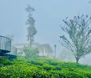 Four Winds Plantation Homestay Approved by Dept of Tourism Govt of Kerala