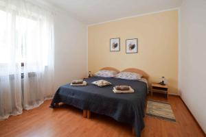 Apartment Pjescana Uvala - Istrien 11045