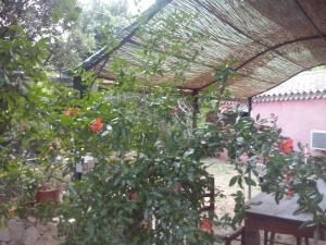 Agriturismo L'Aglientu B&B img56