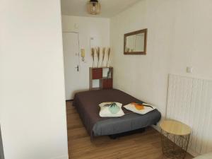 Carnon plage, studio entre mer et port