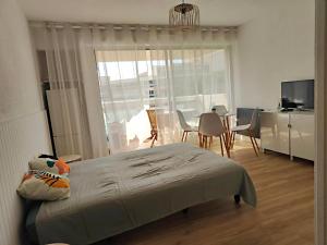 Carnon plage, studio entre mer et port