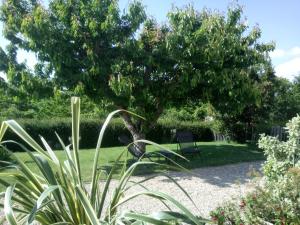 Maisons de vacances Gite Papillon : photos des chambres