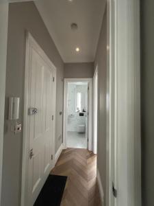 Luxury Apartment in Central London zone 1