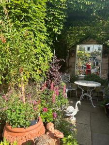 Luxury Apartment in Central London zone 1