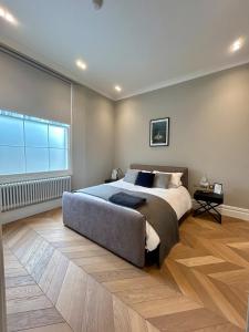 Luxury Apartment in Central London zone 1