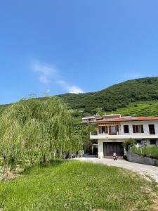 Silvia Miottos Guesthouse