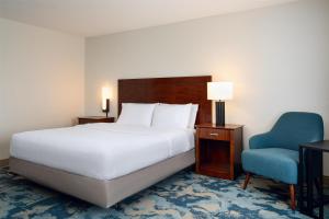 King Room with Accessible Tub - Mobility and Hearing Access/Non-Smoking room in Hampton Inn & Suites Knoxville-Turkey Creek