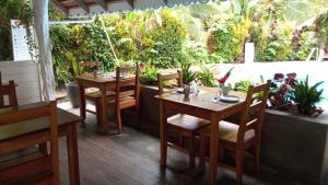 La Rana De Cahuita