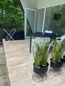 Albatross Breeze Bungalow 100m from the beach