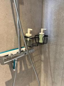 Appartements La cigogne reveuse : photos des chambres