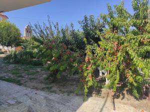 Thanos House - Σπίτι στην εξοχή