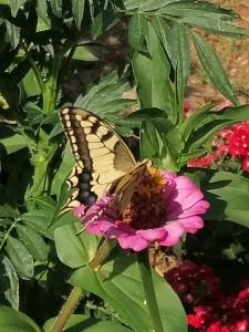 Thanos House - Σπίτι στην εξοχή