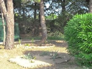 The Studio at Gites 474