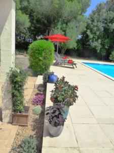 The Studio at Gites 474