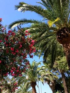 Mora Mora - Apartments