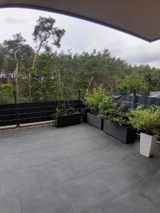 Apartments direkt an der Ostsee