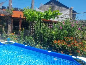 Gee is Sharing her home