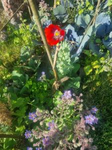 Gee is Sharing her home