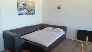 Appartements Appartement sur la digue avec vue mer exceptionnelle ! : photos des chambres