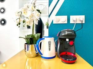 Appartements Color Studio - Proche Gare - 2P : photos des chambres
